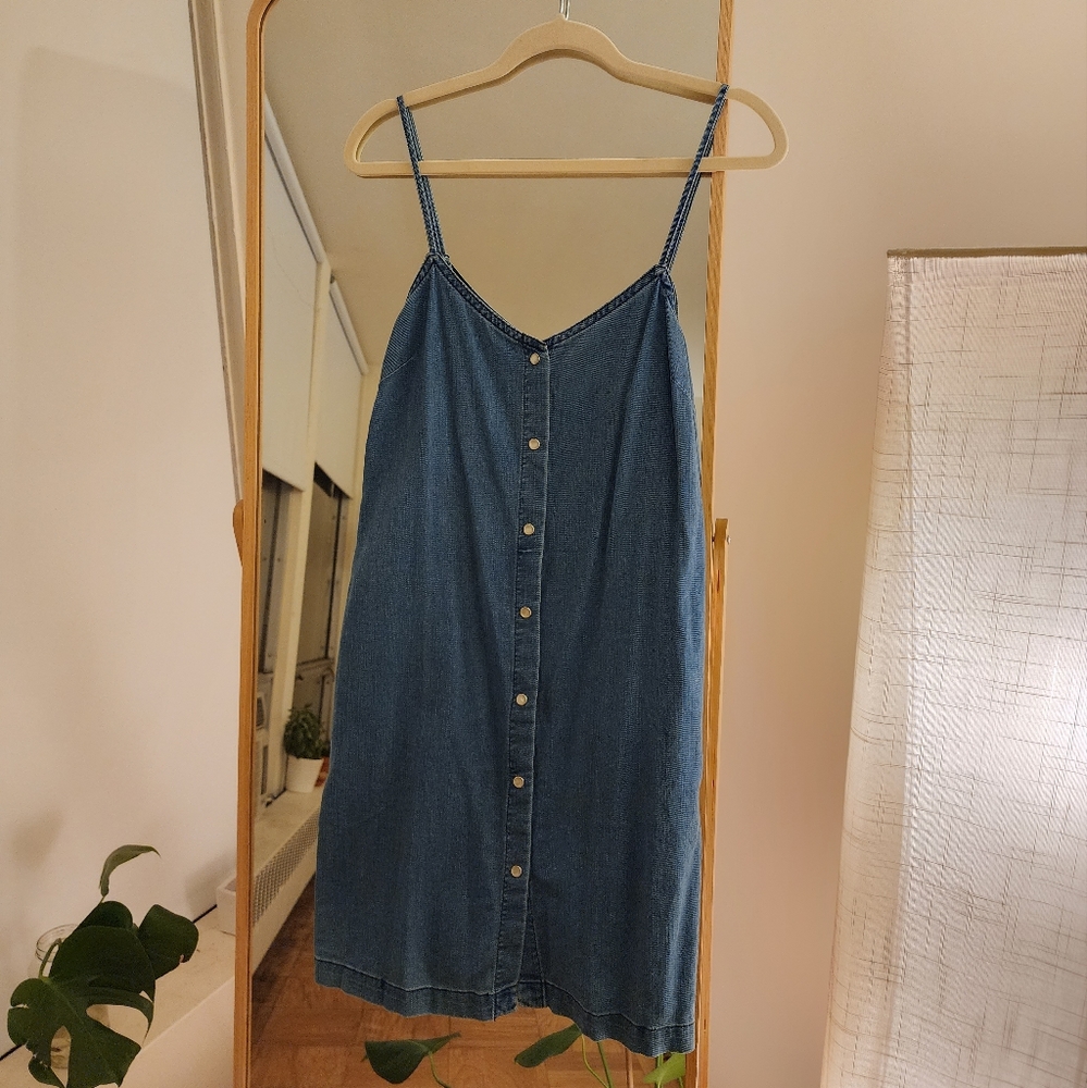 Wilfred Denim Dress - Picture 1 of 4
